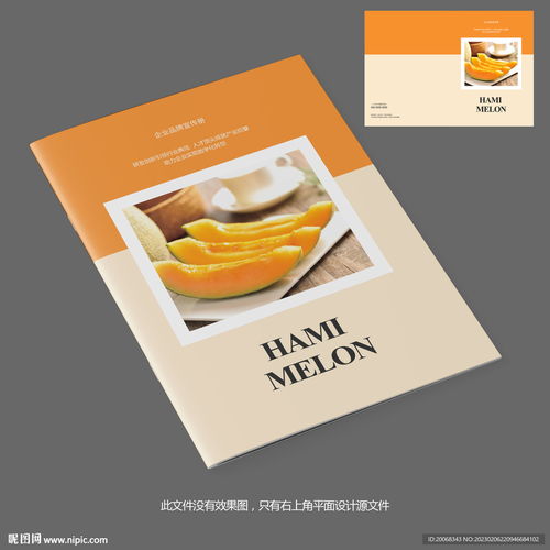 甜蜜之約 哈密瓜產(chǎn)品宣傳畫冊封面設(shè)計